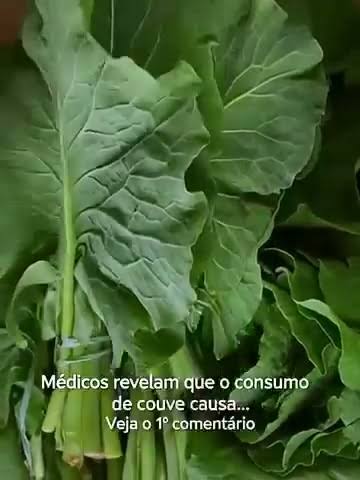 Consumo de Couve: Benefícios, Riscos e Como Usar